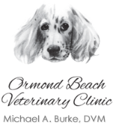 Local Businesses Ormond Beach Veterinary Clinic in Ormond Beach FL