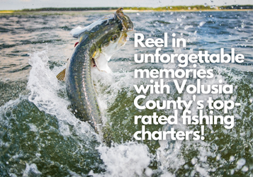 Your Ultimate Guide to Fishing Charters in Volusia County