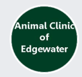 Animal Clinic of Edgewater