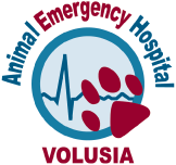 Animal Emergency Hospital Volusia