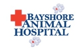 Local Businesses Bayshore Animal Hospital Ormond Beach in Ormond Beach FL