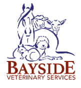 Local Businesses Bayside Veterinary Services in Edgewater FL