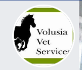 Local Businesses Volusia Veterinary Services in DeLand FL
