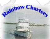 Local Businesses Rainbow Sport Fishing Boats in Ponce Inlet FL