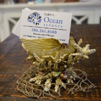 Local Businesses Collier's Ocean Accents in New Smyrna Beach FL