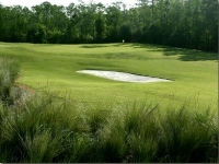 Golf Course at Cypress Head