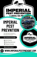 Pest Control Daytona Beach